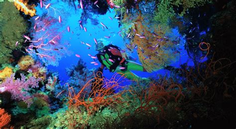 Scuba Diving in Andaman Islands, Book Scuba Diving Tour Package in Andaman & Nicobar Islands