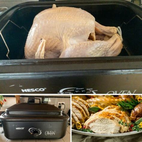 Roaster Oven Turkey - Upstate Ramblings