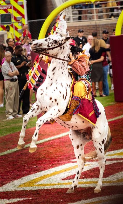 Chief Osceola on Renegade editorial image. Image of stadium - 60728760