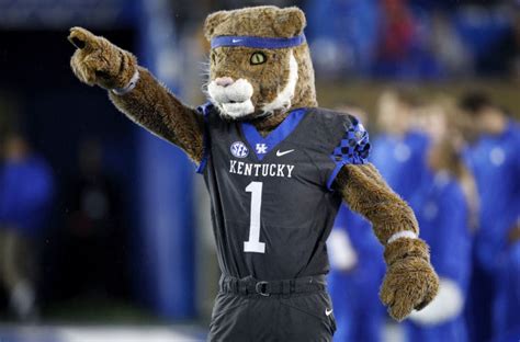 Kentucky Wildcats Football: Dodd's Poll Leaves Wildcat Blue Nation Scratching Our Heads