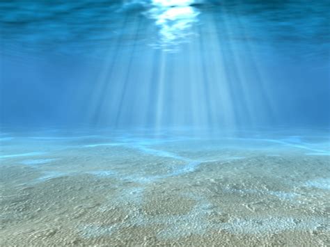 Underwater Scene | High Definition Wallpapers|Cool Nature Wallpapers