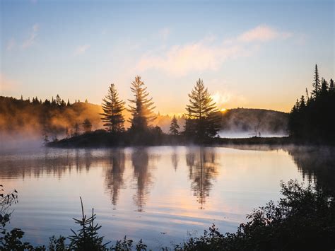 Lake Reflection Morning Mist Trees Nature Hd 4k Wallpaper,HD Nature ...