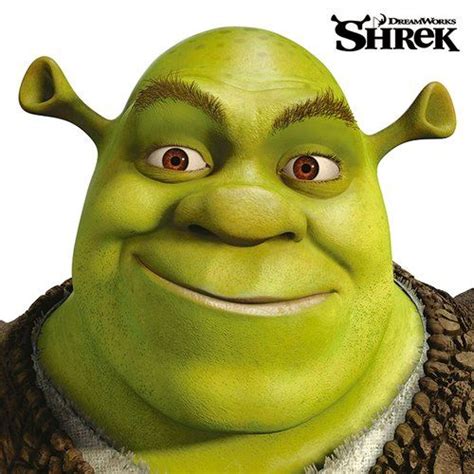 Shrek - Face Graphic Art Print on Canvas Art Group | Shrek, Shrek ...