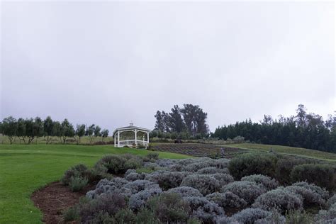 Ali'i Kula Lavender Farm (Maui) - Onolicious Hawaiʻi