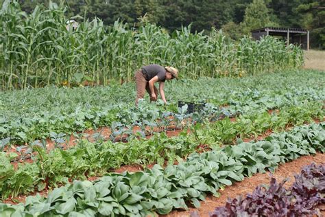 Growing Small Farms | North Carolina Cooperative Extension