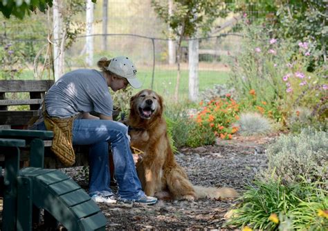 Tree of Remembrance – Gardens For Goldens