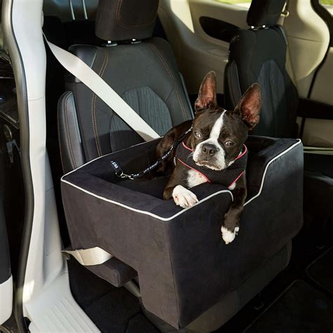 The 8 Best Dog Car Seats of 2021, According to a Veterinarian