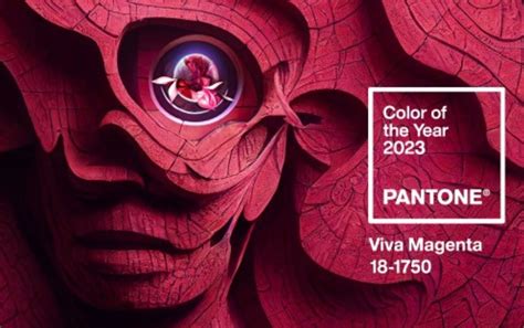 Viva Magenta is the 2023 Pantone Color of the Year | Philstar.com