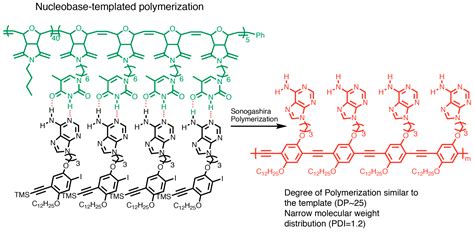 Polymers | Free Full-Text | Nucleobase-Containing Polymers: Structure ...