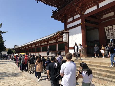 Todaiji Temple: Deer and Cherry Blossoms in Nara — The Gaijin Ghost