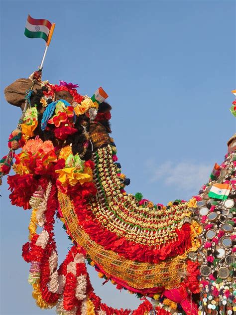 10-Day Royal Rajasthan and Camel Festival Tour