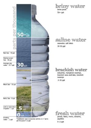 Brackish water Facts for Kids