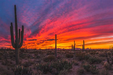 MichaelPocketList: Sonoran Desert Sunset [OC] [2500x1667]