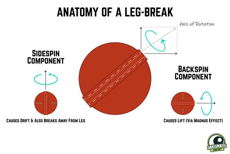 Cricket's Spin Doctors – How Spin-Bowling Works - Grassroots Cricket