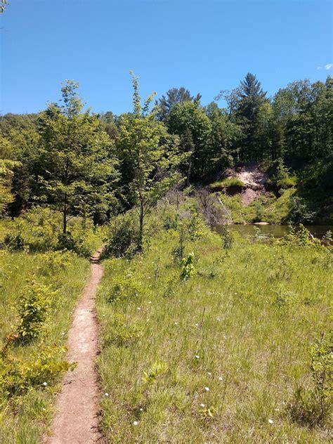 Manistee River Trail South - Michigan | AllTrails