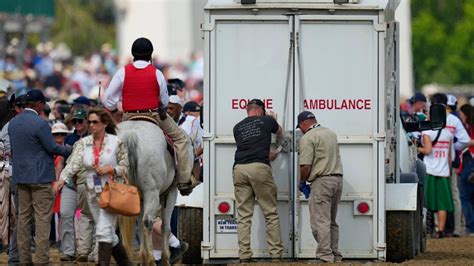 Horse deaths cast shadow as Triple Crown shifts to Preakness