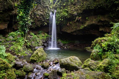 Emerald Pool - How to Get These Precious Waters All to Yourself | Dominica