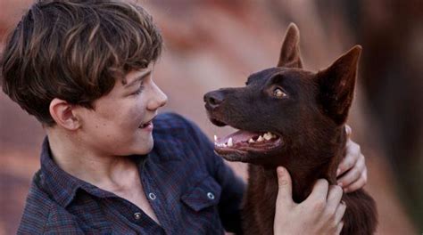 ‘Red Dog: True Blue’: Review | Reviews | Screen