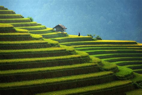 Rice terraces in Vietnam - Hami's knowledge sky