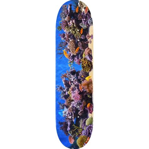 Mini Logo Skateboards Fish Tank Skateboard Deck 255/K-20 - 7.5 x 28.65