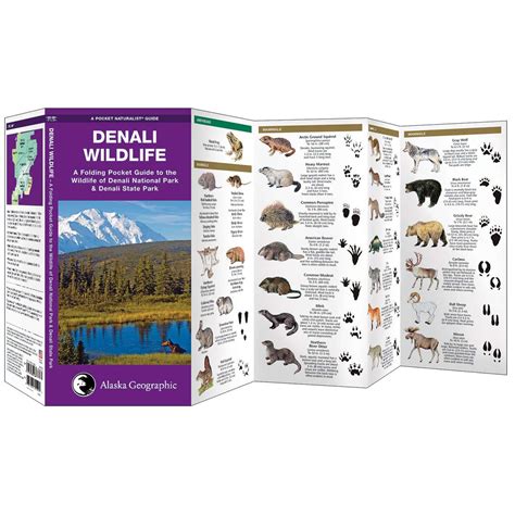 Outdoors, Camping & Travel :: All Outdoors Books :: Mammal ...