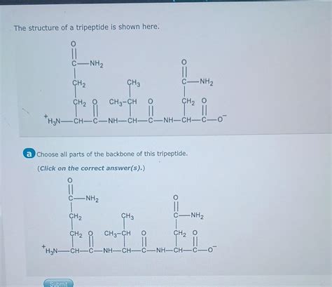 Solved The structure of a tripeptide is shown here. Choose | Chegg.com