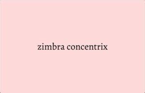 zimbra concentrix login official site online