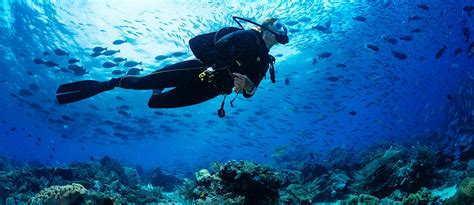 Best Places for Scuba Diving Dubai: Jumeirah, Atlantis & More - MyBayut