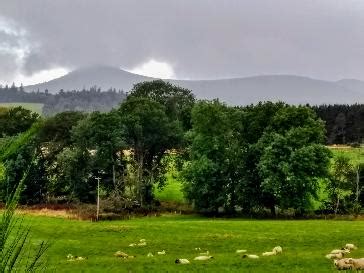 Banchory - BBC Weather