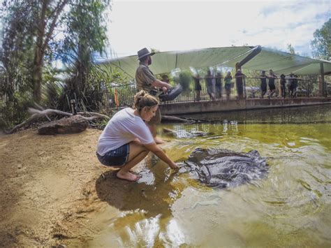 A Guide To Visiting The Territory Wildlife Park From Darwin, Australia