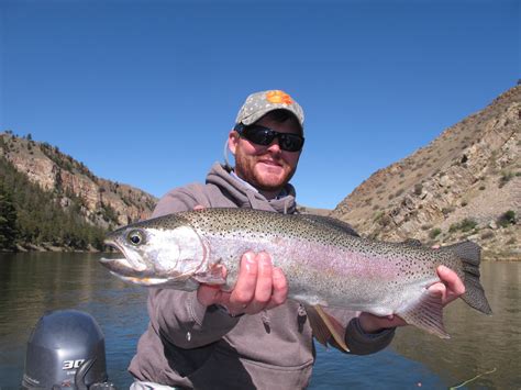 Montana fly fishing photos - Hooked Outfitting - Ennis Montana - Madison River