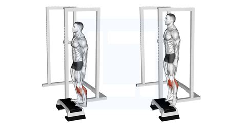 Standing Calf Raise - Guide, Benefits, and Form