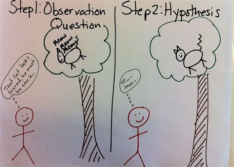 Science in Mrs. Candea's Classroom: The Scientific Method Cartoon