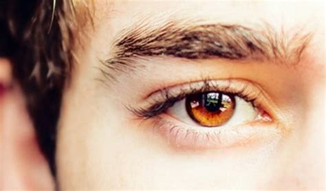 earn About The Origins of Brown Eyes | Guy Counseling