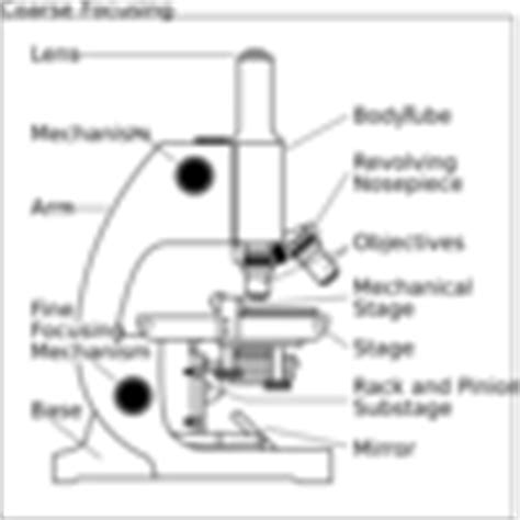 Compound Microscope Clip Art at Clker.com - vector clip art online, royalty free & public domain