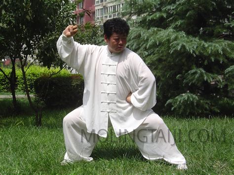 Chenyu, Chen Family Taijiquan 19th Generation Master, 'Chen Style Tai Chi'