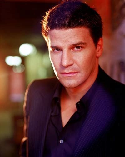 Seeley Booth - David Boreanaz Image (15326484) - Fanpop