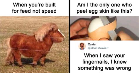 50 Hilarious Memes That Kind Of Have A Point, As Shared On “Brainy Memes” (New Pics) | Bored Panda