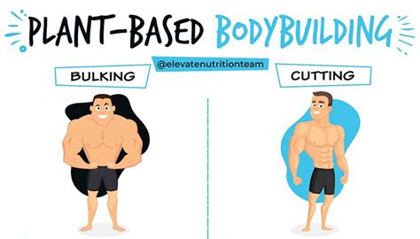 Bulking and cutting workout - herofkitchenMy Site