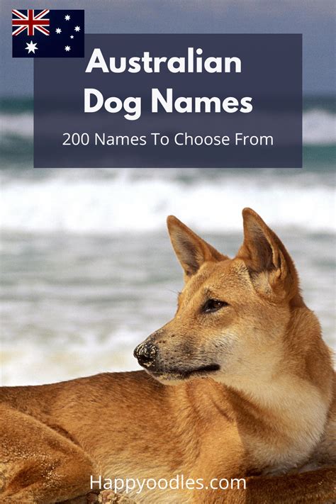 Australian Dog Names: 200 Dog Names - Happy Oodles | Australian dog ...