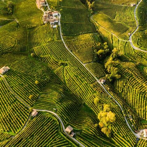 Comune di Valdobbiadene - Valdobbiadene