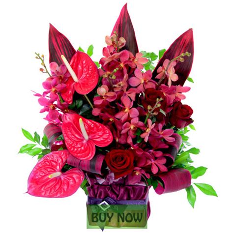 Fizz Mastery: Who Sells Flowers In Liyue - Ordering Flowers Online - Consumer Reports : Bubu ...