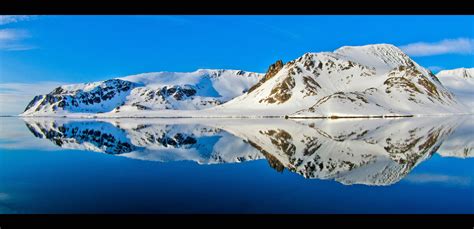 Spitsbergen Wildlife Explorer - Travelosophers