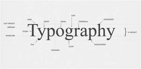 Anatomy Of Typography Worksheet