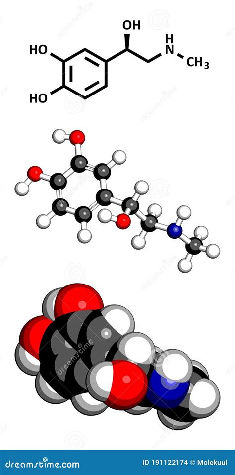 Adrenaline Or Epinephrine Hormone Chemical Structure. Epinephrine Is ...