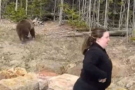 Woman Attacked by Grizzly Bear after Violating Warning, Goes Missing