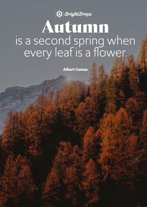 105 Inspirational Nature Quotes on Life and Its Natural Beauty
