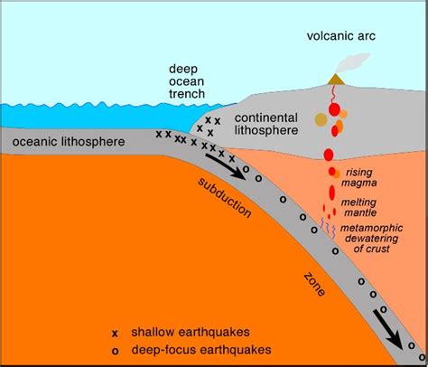 Earth quakes near trenchs | The deep ocean trench occurs where the oceanic plate bends downward ...