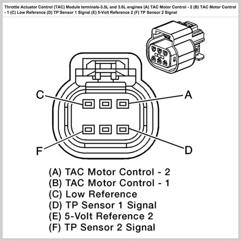 6 pin throttle position sensor wiring diagram - Diagram Board