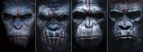 Caesar Planet Of The Apes Wallpapers - Wallpaper Cave